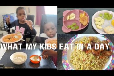 BREAKFAST, LUNCH, DINNER ideas for kids. healthy recipes
