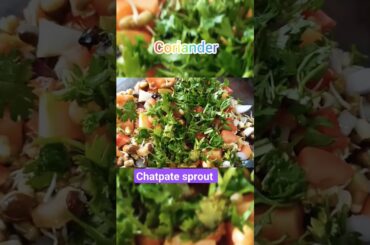 evening snack chatpate sprout #sprouts #diet #yummy #healthy#nastharecipe #instantrecipe #energy