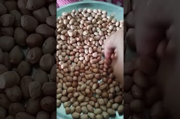 Boiled peanuts healthy breakfast recipe   #highprotein#healthy recip#peanut#breakfastrecipe