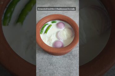 Chaddannam #subscribe #fermentedrice  #chaddannam  #summer #breakfast  #shorts #healthybreakfast