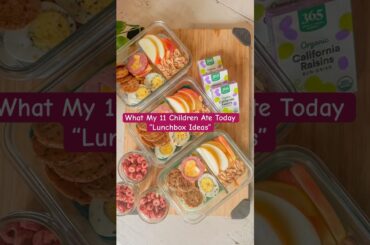 Feeding 11 Kids: Healthy & Simple Lunch Box Ideas
