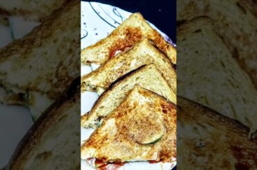 Fiber Rich Sandwich #sandwich #shorts #ytshorts