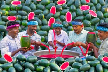 WATERMELON MILKSHAKE | Summer Healthy Drinks | Fresh Watermelon Juice Making in Village