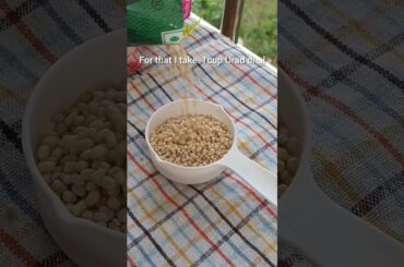 Take 1 cap urad dal to make this healthy recipes! #trending #ytshorts #shorts