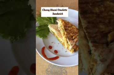 Cheese Shami Omelette Sandwich | Lunchbox recipe |Teatime Snacks | Instant recipe