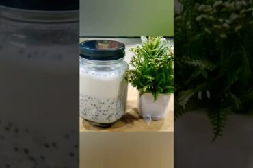 Oatmeal | Chia Seed Pudding | Low Calorie food| Healthy Recipes