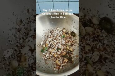 Lunch box recipe/Coconut rice in Seeraga Chemba Rice/Day-6 lunch box recipe