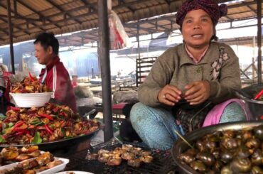 Amazing Cambodian Country Foods, Snacks, Recipes and Refreshment | Healthy and Organic Foods