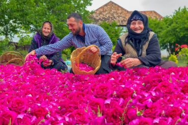 THE TREASURE OF ROSE FLOWER: Making Rose Water In Village | Healthy Recipes For All Seasons