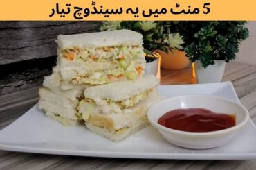 5 Minutes Egg Sandwich Recipe |Quick Egg Mayo Sandwich |Easy Sandwich Recipe