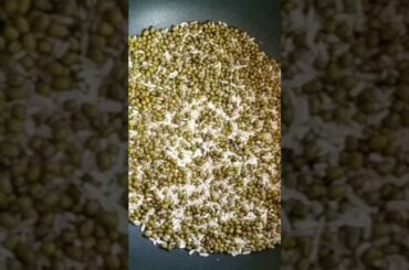 Pachai Payeru Kanji/Green Moong Dal Sweet Recipes/Healthy Summer Recipes