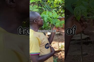 Medicinal And Delicious | Ofe Uturukpa  #food #igbofood #cooking #africansoup #health #africanfood