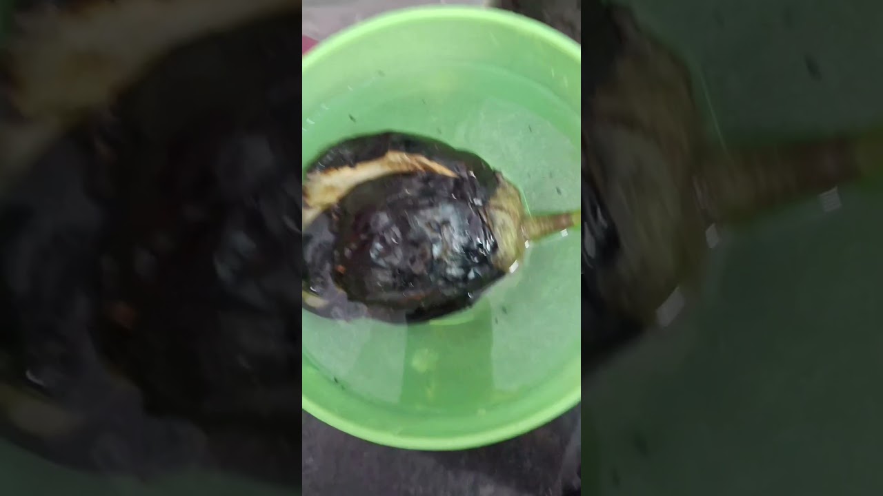 Baigan ka Bharta #song #foodie #healthy #lunch #recipe #begunbharta #homemade#viralvideo#shorts Baigan ka Bharta #song #foodie #healthy #lunch #recipe #begunbharta #homemade#viralvideo#shorts