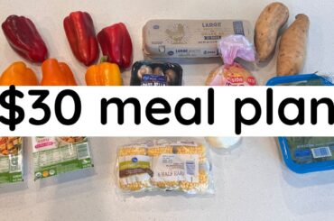 $30 Meal Plan | Eating Healthy on a Low Grocery Budget | Easy Meals High Protein + Tons of Veggies!