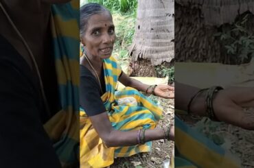 "Refreshing Valaithandu Juice | Traditional Banana Stem Drink Recipe" #shortsfeed #trending #shorts