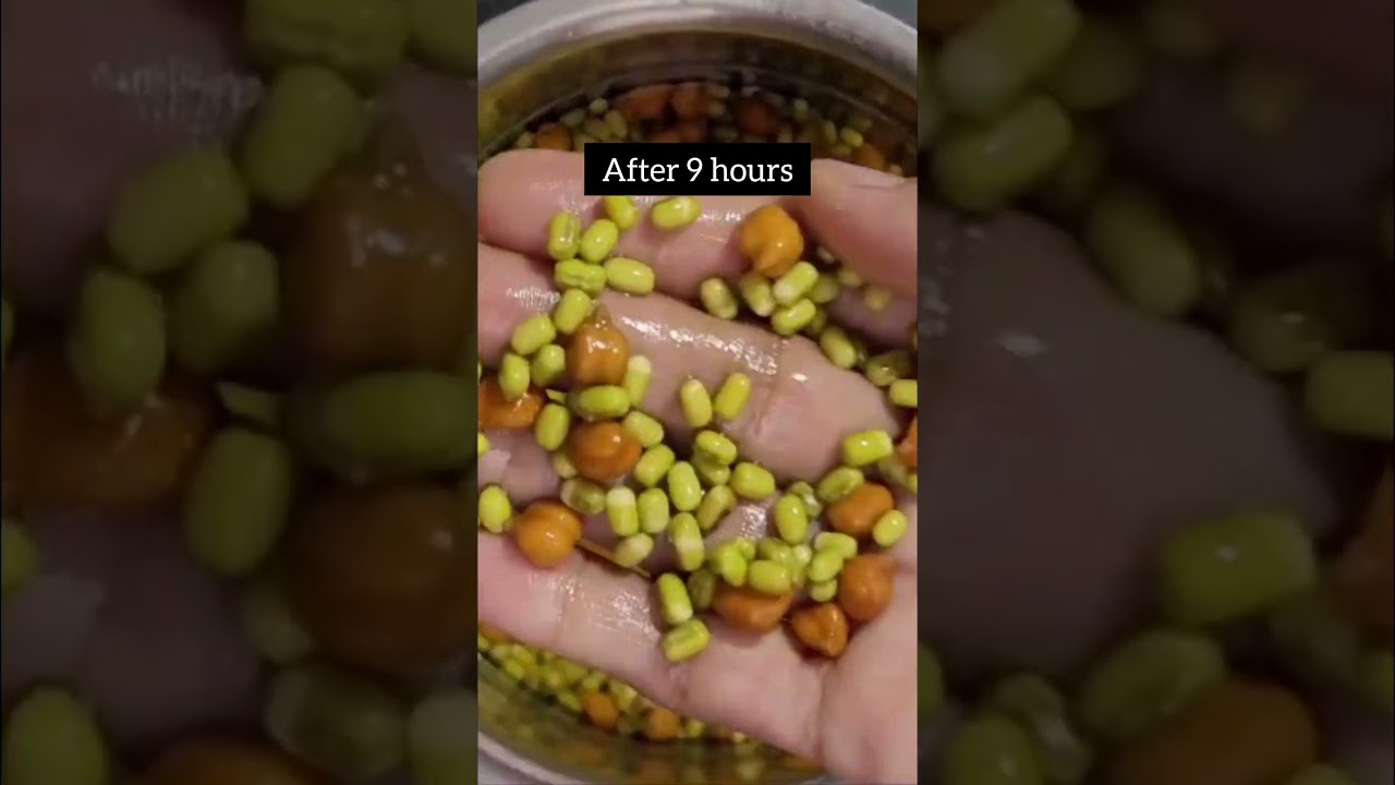 Prepare healthy sprouts easily at home #shorts #sprouts #blackgram #salad #summer Prepare healthy sprouts easily at home #shorts #sprouts #blackgram #salad #summer