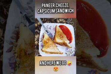 Healthy Paneer Capsicum Sandwich Recipe | Easy & Delicious Snack Idea #shorts #viral #foodie