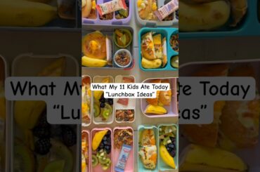 Feeding 11 KIDS: Healthy and Simple Lunch Box Ideas