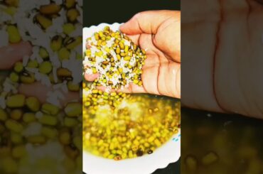 Healthy breakfast recipes #dailyvlog # #shorts #youtubeshorts #viral #food #dinner #recipe #lunch