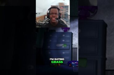 Why Salad Tastes Like Grass  Explained & Healthy Salad Recipes