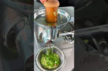 Let's Roll Up a Big Fatty! #juicing #greenjuice #juicerecipe #purejuicer #soberlife #plantmedicine