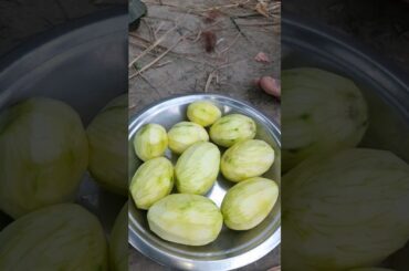 How to Healthy Fruit Salad Recipe in a minute #food #assam #foryou #villagecooking