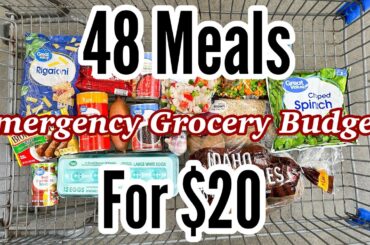48 MEALS FOR $20 | Quick & EASY Cheap Meal Ideas | Emergency Grocery Budget Shopping | Julia Pacheco