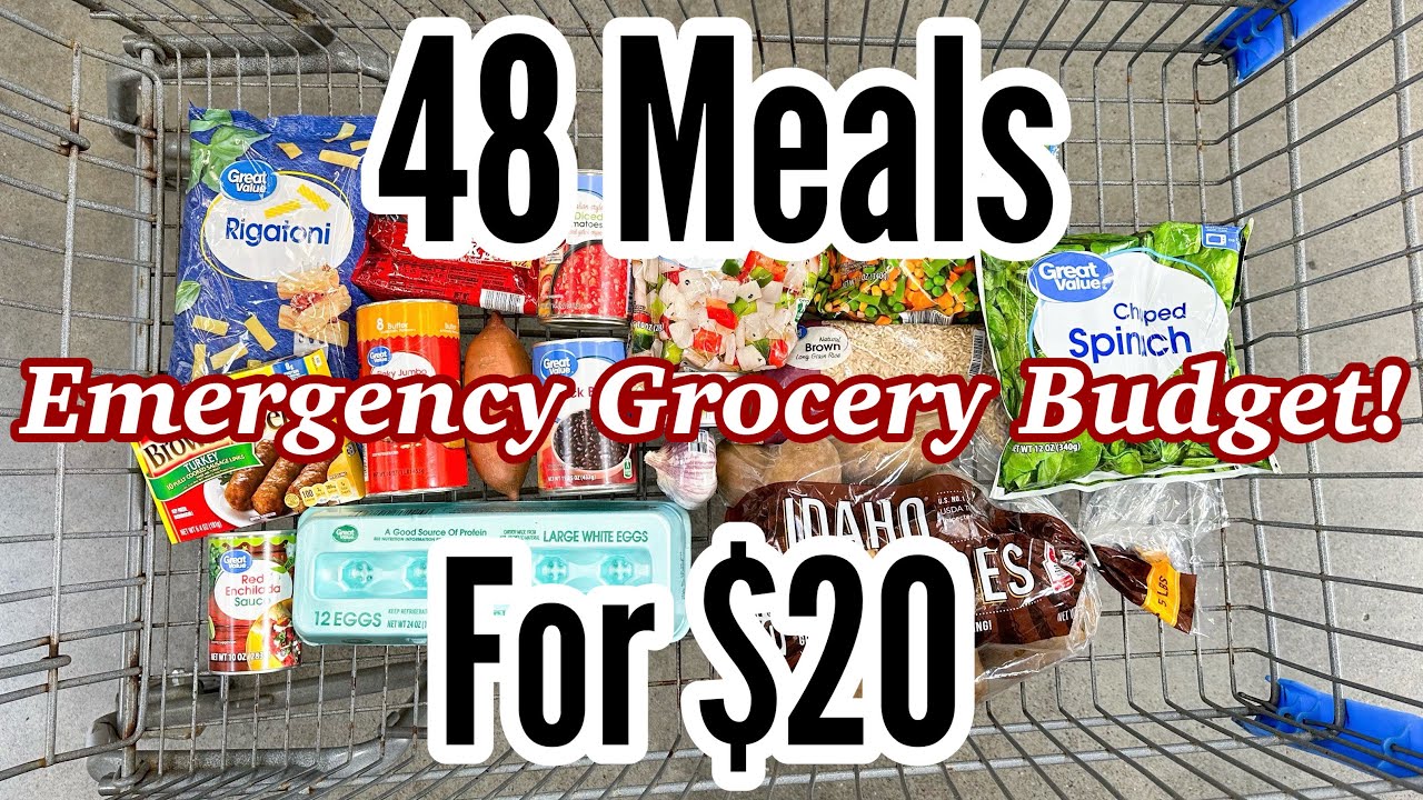 48 MEALS FOR $20 | Quick & EASY Cheap Meal Ideas | Emergency Grocery Budget Shopping | Julia Pacheco 48 MEALS FOR $20 | Quick & EASY Cheap Meal Ideas | Emergency Grocery Budget Shopping | Julia Pacheco