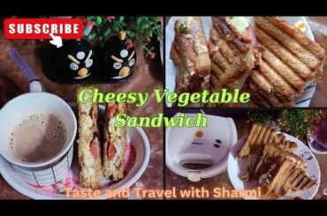 Healthy recipes/Cheese Vegetable Sandwich #youtubevideo #viral #weightlossfood #healthyfood #recipes