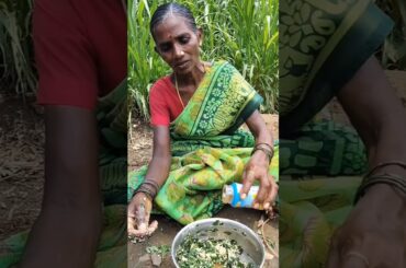 Namma Patti Murungai Keerai Vadai - No Boil, No Oil Recipe #shortsfeed #trending #shorts