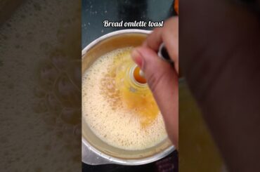 Bread omlette toast #healthy #comedy #foodie