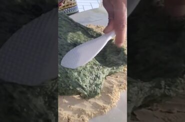 10-min injeolmi (Korean Rice Cake Dessert) #recipe #spring #amazing #healthy #yummy #food