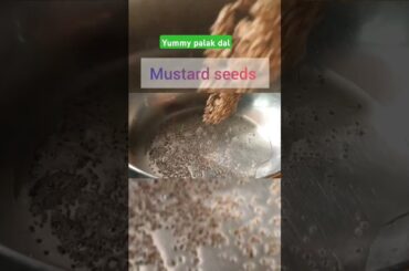 how to make palakdaal | #homemade #lowcalorie  #healthy#gharkakhana  #spinach #pigeonpeas #shorts