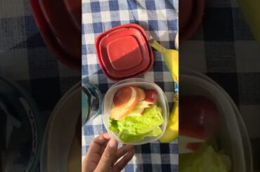 Pack school lunch with me - healthy kid approved lunches