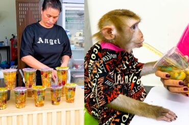 Monkey Kaka's Favorite Herbal Tea Recipe | Refreshing and Healthy