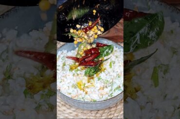 Super Healthy Curd Rice | Indian Vegetarian Healthy Recipes #shorts #viral #youtubeshorts #trending