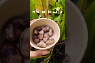 Best out of waste | Roasted Jackfruit Seeds | Healthy snacks recipe | Fibre Rich #asmr #ytshorts