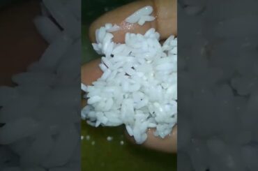 Ration beyam#healthy #benefits #food #cooking #youtubeshorts