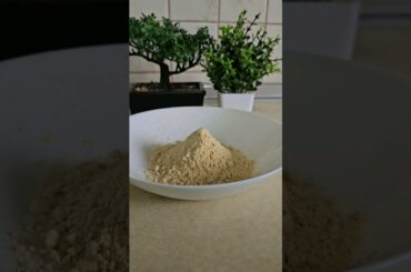 Sattu paratha lovers #shorts #youtubeshorts #viral #sattuparatha