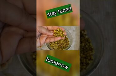 Whole Hara Moong Recipe | Healthy Recipe | Snacks Recipe | #shorts #ytshorts @oneportionoflife