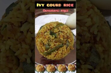simple & Healthy lunch box recipe/kovakkai rice#Ivy gourt recipes#variety rice recipes