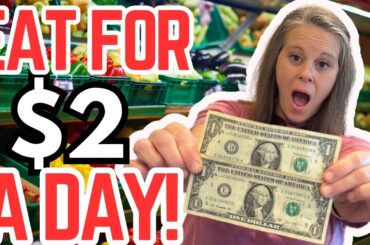 Eat For $2 A DAY! HEALTHY Meal Plan & Recipes! #homemadesimple #extremegrocerybudget #recipes