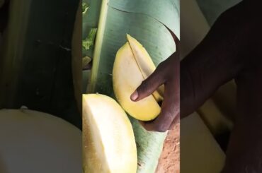 how to cut pumpkin for healthy nutrition weight loss vegan recipes#viral#shorts