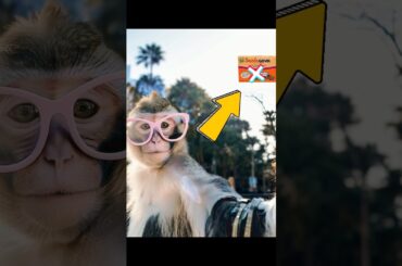 8 second Sazon Goya recipe without MSG #healthy  #shorts #dinner