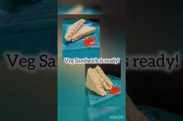 Healthy Veg Sandwich Recipe/@bhawnabhatnagar_03 #vegsandwich