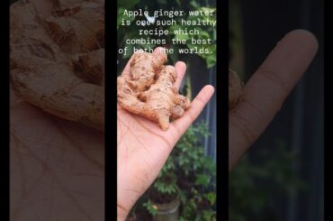 5/100 healthy recipes  apple ginger water