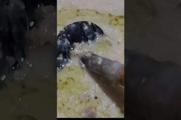 #harissa #hareesa #food #cooking #dalrice #viralrecipe #viralshort #pakistanifood #desifood