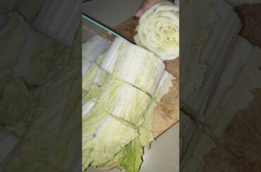 ASMR Cutting Chinese Pechay into Four || #viral #vegetable #food #healthy #satisfying #shorts