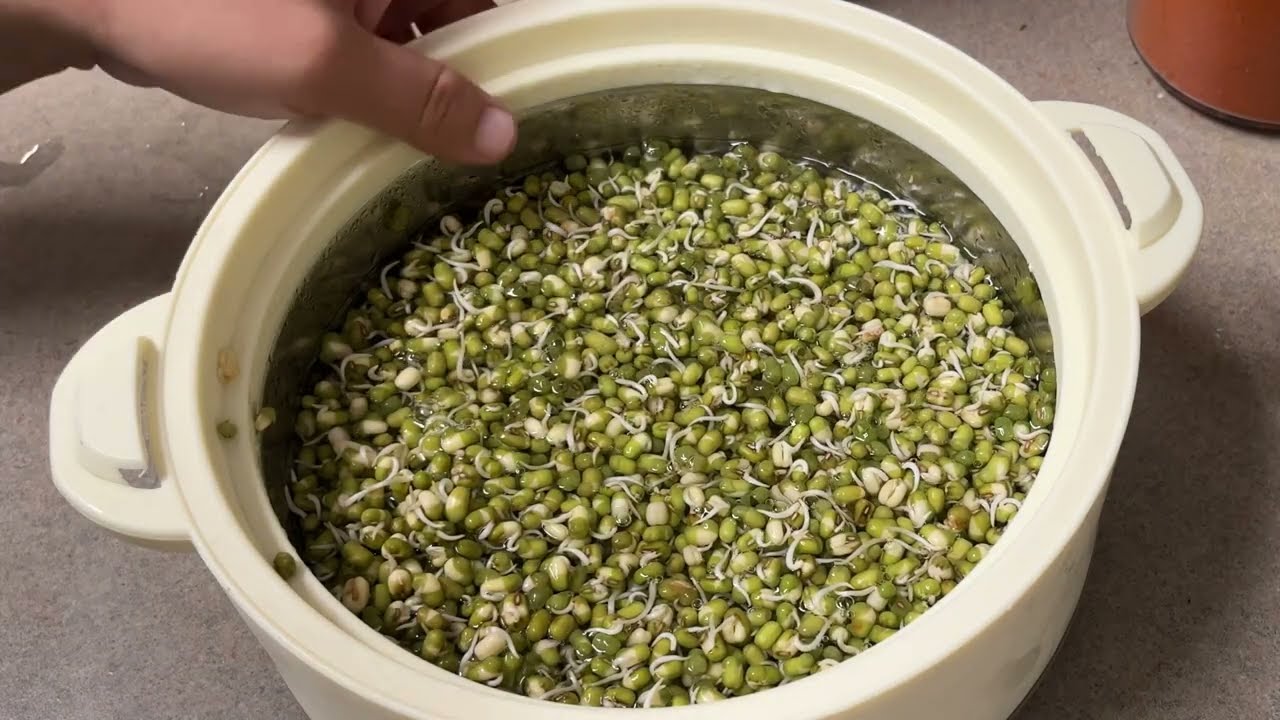 Sprouts Moong Dal chilla for weight loss// Healthy recipe for mantain your weight | Breakfast Idea Sprouts Moong Dal chilla for weight loss// Healthy recipe for mantain your weight | Breakfast Idea