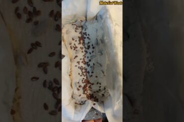 #noyeast glutenfree bread#bread #healthy#weightloss#weightlosstips #viral#ytshorts...